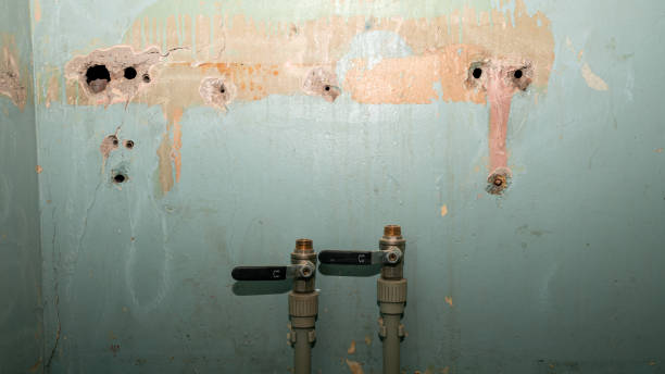 Best Water damage restoration experts  in Marysville, OH