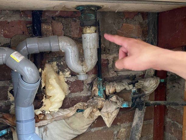 Best Flooded house restoration  in Marysville, OH