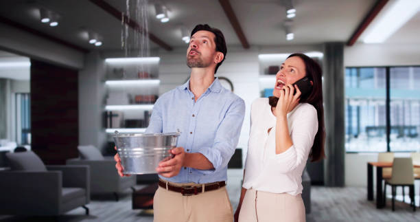 Best Water damage cleanup near me  in Marysville, OH