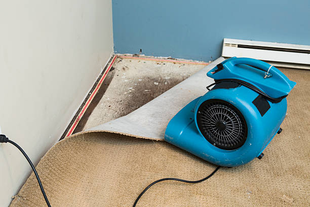 Best Flood damage cleanup  in Marysville, OH
